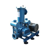 Pompe à vide de type Roots série HDSR-V à haute efficacité pour le traitement des eaux usées, refroidissement par air haute pression, gaz naturel, 100 CV, électrique