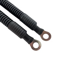 Harnais de câblage OEM personnalisé pour vélos électriques, motos et automobiles - IATF16949 pour IP65 PBT/Nylon/Caoutchouc