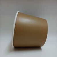 Seau à popcorn en papier SP2212 de grande capacité, de haute qualité, avec couvercles assortis, jetable, pour les lieux de divertissement
