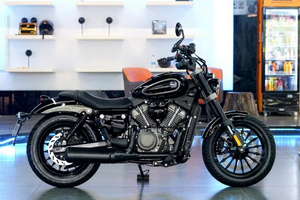 BENDA CHINCHILLA 250 - Product Image 6