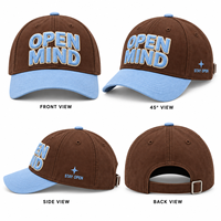 Casquettes de baseball unisexes ajustables à six panneaux avec logo personnalisé en broderie chenille, commande en gros, faible MOQ