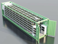Ferme de fraises hydroponiques automatiques en conteneur, culture verticale de fraises en conteneur aéroponique, culture de légumes en conteneur maritime