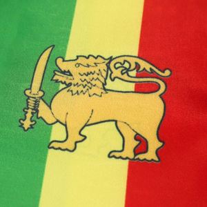 ผ้าพันคอสำเร็จการศึกษาสำหรับผู้ใหญ่ ผลิตจากผ้าซาตินโพลีเอสเตอร์ 100% สำหรับการศึกษาต่อต่างประเทศในเอธิโอเปีย - Product Image 3