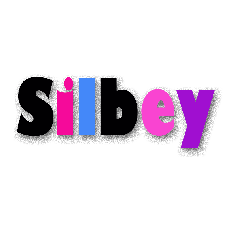 Hangzhou Silbey Import & Export Co., Ltd. logo