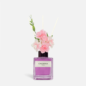 CLORINA-Diffuseur d'aromathérapie en verre 50ml avec parfum frais-Cadeau emballé dans une belle boîte cadeau - Product Image 2