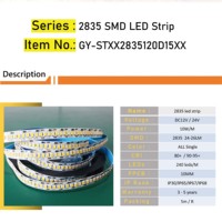 Bande lumineuse led de haute qualité, 12v, 24v, 10mm, ip20, intérieur 2835, 240led/m