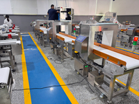 Mesin Detektor Logam Inspeksi Terowongan untuk Industri Makanan, Material Baja, OEM, Dapat Disesuaikan, Instrumen Detektor Logam Industri