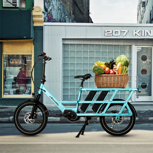 Aimos Giá Tốt Nhất Dài Đuôi Điện Hàng Hóa Xe Đạp 36V 250W Dành Cho Người Lớn Hàng Hóa Xe Đạp Nhôm Hợp Kim Khung Hàng Hóa Xe Đạp Điện - Product Image 4