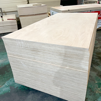 Contreplaqué de bouleau 3/4 4X8 15mm 18mm Noyau d'eucalyptus Contreplaqué résistant aux termites Panneaux de bois avec stratifié