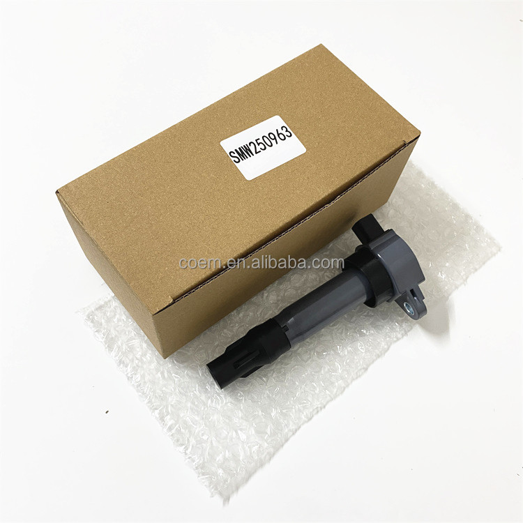 SMW250963 MW250963 SM250963 DQQ2184 for MITSUBISHI Engine Coil