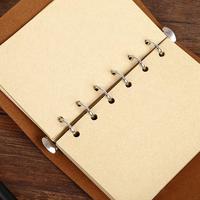 Agenda personnalisé vintage Carnet de notes d'affaires Journaux en cuir PU à couverture souple Spirale à feuilles mobiles pour usage personnel et professionnel