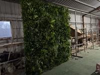 Mur végétal artificiel en plastique souple pour extérieur, maison, hôtel, vente en gros d'usine Bagang