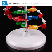 Modelo de Estructura de ADN de Doble Hélice de Plástico Kepu para Enseñanza de Biología en el Grado Secundario, Instrumento de Demostración