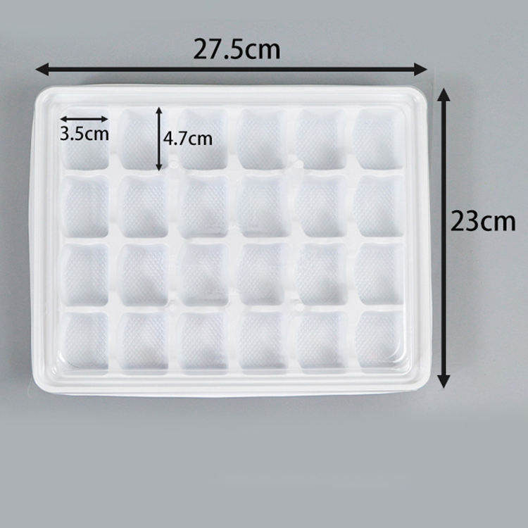 24ตารางด้านล่าง1ชิ้น