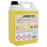 Nettoyant liquide neutre pour sols Rykem Eco-Friendly Lemon Pav 5 kg, pour marbre, grès cérame, linoléum, céramique, stratifiés, certifié HACCP 80%