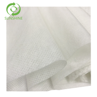 Tissu non tissé en PET biodégradable, doux pour la peau, en polyester/viscose, pour rouleaux de serviettes jetables, tissu de nettoyage