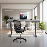 Base de bureau ergonomique réglable en hauteur, cadre de bureau électrique assis-debout, poste de travail à double moteur, cadre de bureau informatique