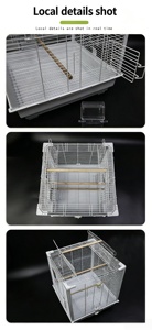 Jaula Grande Transparente y Ventilada para Loros, Jaula de Lujo para Pájaros Ornamentales como Peony, Tiger y Zebra Finches, Jaula Interactiva para Mascotas - Product Image 4