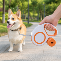 Lampe torche LED personnalisable et laisse rétractable automatique pour chien avec lumière colorée - Ensemble pour promenade nocturne avec poignée antidérapante et harnais