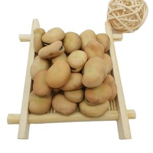 Frijoles amarillos claros de Selección manual a granel 50-60 granos por 100g de habas secas - Product Image 1