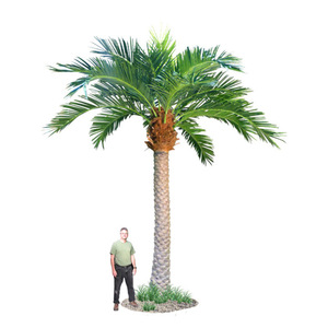 Offre Spéciale algues artificielles extérieures <span class=keywords><strong>de</strong></span> haute qualité personnalisées, palmier, <span class=keywords><strong>cocotier</strong></span> - Product Image 2