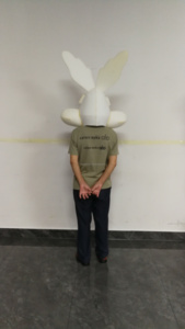 Costume de mascotte en mousse EVA, motif <span class=keywords><strong>coyote</strong></span>/loup, en peluche, personnage de dessin animé, tenue de marche pour adulte, idéal pour événements, défilés et cosplay - Product Image 4