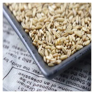 Pure Natural Green Additive-free Oat Kernels Reasonable Prices Sold Wholesale In Large Quantities