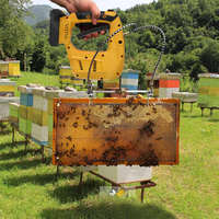 Équipement d'apiculture Vibrateur de cadre de ruche d'apiculture Enlèvement d'apiculture Machine vibrante Abeille électrique secouant