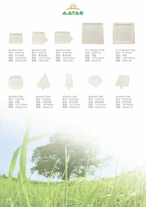Ensemble de <span class=keywords><strong>couverts</strong></span> en bambou jetables de haute qualité avec <span class=keywords><strong>assiettes</strong></span> biodégradables <span class=keywords><strong>recyclables</strong></span> Offre Spéciale pour les fêtes - Product Image 6