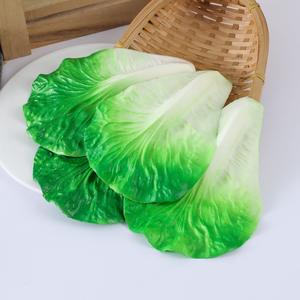 Échantillons <span class=keywords><strong>de</strong></span> feuilles <span class=keywords><strong>de</strong></span> laitue artificielles réalistes et durables pour les expositions <span class=keywords><strong>de</strong></span> musées, <span class=keywords><strong>la</strong></span> science, l'agriculture, <span class=keywords><strong>la</strong></span> botanique et les présentations en laboratoire pédagogique - Product Image 1