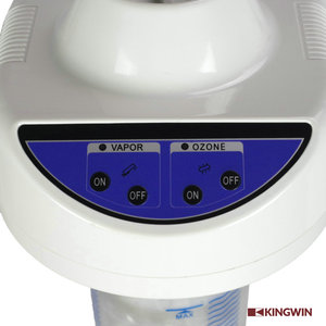 Appareil de soin du <span class=keywords><strong>visage</strong></span> et du corps électrique Vapozon Nano Ionique avec support, pièces de rechange gratuites, OEM, ODM, marque privée, CE, RoHS - Product Image 2