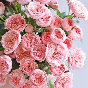 Yunnan ช่อดอกไม้ที่ใช้ในครัวเรือนที่หรูหราทำด้วยมือช่อกุหลาบฐานผมตรงยกน้ำ - Product Image 2