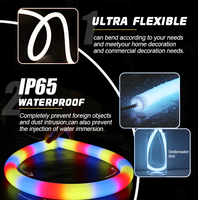 360 Degrés Étanche RGBIC Pixel Smart SPI Adressable 5m Silicone LED Néon Corde IP65 Hôtel Éclairage 24V Tension D'entrée