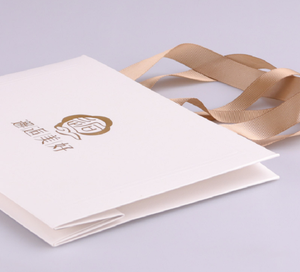 บุคลิกภาพราคาถูกนายกรัฐมนตรีตราบรรจุกระดาษที่กำหนดเองร้านขายของชำถุงช้อปปิ้งเครื่องประดับที่มีด้ามจับริบบิ้น - Product Image 5