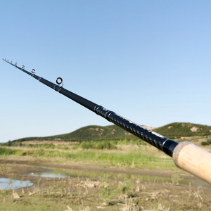 Cannes de coulée de haute qualité 2.28m 2 sections carbone tête de serpent <span class=keywords><strong>canne</strong></span> à pêche poisson-chat - Product Image 3