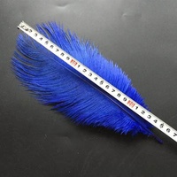 Plumes d'autruche colorées en gros 25-30 cm - Garnitures de luxe en plumes pour vêtements de danse, costumes de scène et confection de chapellerie