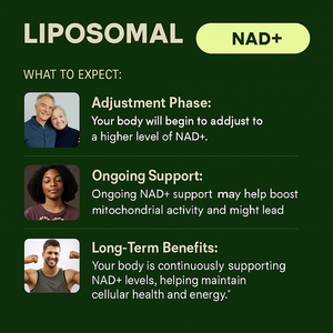 Oem פרטי התאמה אישית nad3 nad + תוספי רזברטרול ויטמין B תיקון תא - Product Image 3