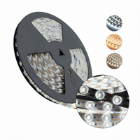 Bande lumineuse LED RGBW numérique à pixels UCS8904 haute précision 16 bits DC24V 96 LED pour l'éclairage architectural et commercial