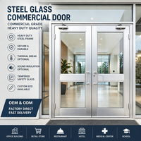 Porte double en acier sur mesure avec vitrage, porte d'entrée robuste pour hôtel, restaurant, bureau et commerce