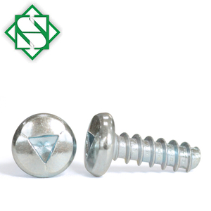 Rãnh vít đồng bằng DIN khai thác SS304 màu xanh trắng zick kết thúc binidng đầu tam giác Ổ TR chủ đề hình thành vít - Product Image 2