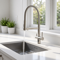Keran Dapur Modern 304 Stainless Steel 4-in-1 dengan Semprotan Tarik Keluar, Filter Air Murni, dan Pemasangan di Dek