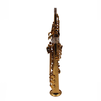 Bb Sopranino Saxophone New Design Pro Level Yellow Brass Gold Lacquer Built in Neck Woodwind Instrument