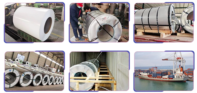 Color Coated PPGI Prepainted Galvanized Steel Coil Z275 Z350 Red Blue Green
