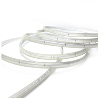 Bande lumineuse led sans fil 220V SMD 2835 120led 180led par mètre Bande flexible étanche extérieure