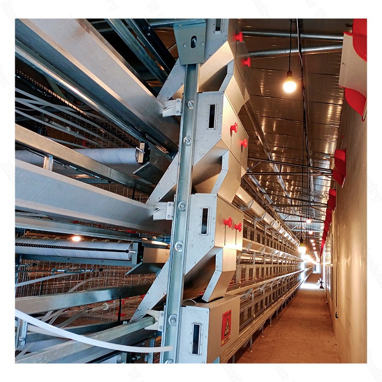H Type Automatic Chicken Layer Cage Thermally Permeable Zinc Steel Breeding Equipment for Chicken Farm Chicken House
