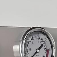 Pressure Gauge