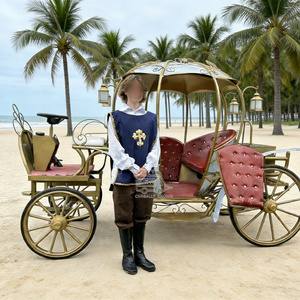 Arrivée d'une limousine de mariage et de tourisme, d'une calèche de style anglais, d'une calèche de prince, d'une calèche à chevaux, d'une calèche incroyable, d'un cabriolet, d'une caravane - Product Image 3