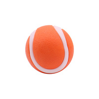 Jouet de balle pour chien flottant et rebondissant en caoutchouc durable pour l'eau et la terre Jouet résistant à la mastication haute visibilité pour chiots, chiens