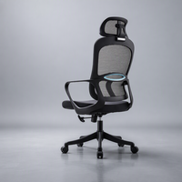 Chaise de bureau ergonomique de direction Comfort First Supplier, dossier en maille noire, soutien lombaire bleu, cinq étoiles, double roulettes, chaise de bureau moderne