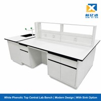 Banc de travail central tout acier pour laboratoire, armoire double face, plan de travail en résine époxy résistant à la corrosion, personnalisable pour laboratoires
